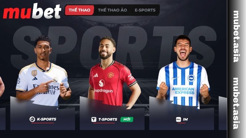 Cá cược thể thao đỉnh cao tại nhà cái MU BET
