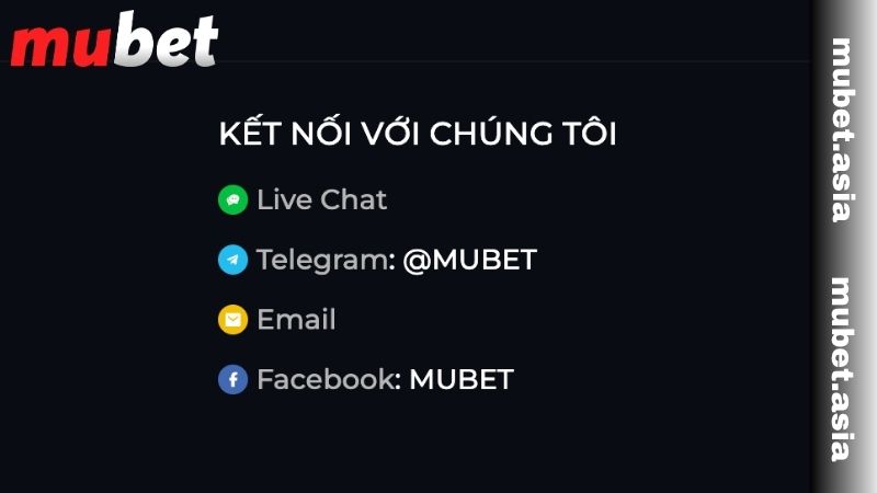 Hướng dẫn liên hệ MUBET nhanh chóng
