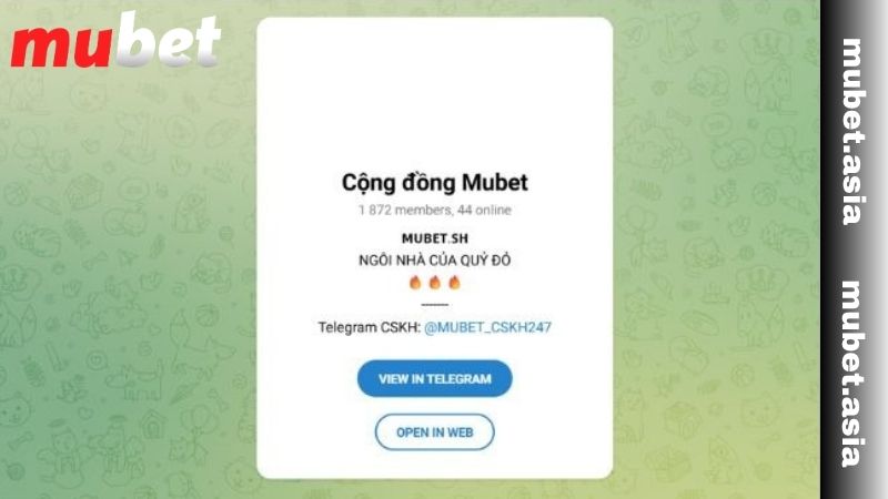 Những trường hợp nên liên hệ nhà cái MUBET