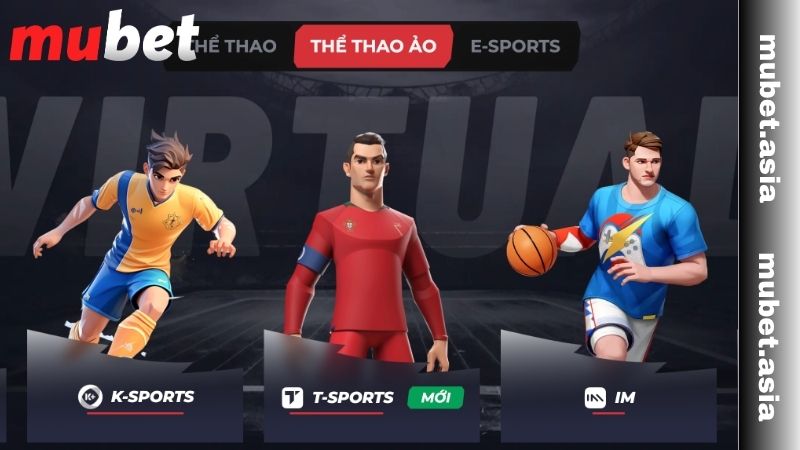Thể thao ảo là  gì? 